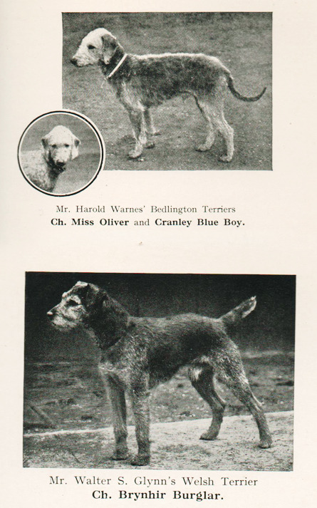 urbanmongoose:One of my collections you might not know about is my collection of antique dog books f