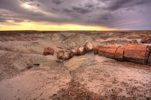 oneshotolive:  Lumberjacks couldn’t do any better. A fallen 225 million year old Araucarioxylon arizonicum tree at Petrified Forest National Park, Arizona [OC] [2200x1451] 📷: ChartFrogs 