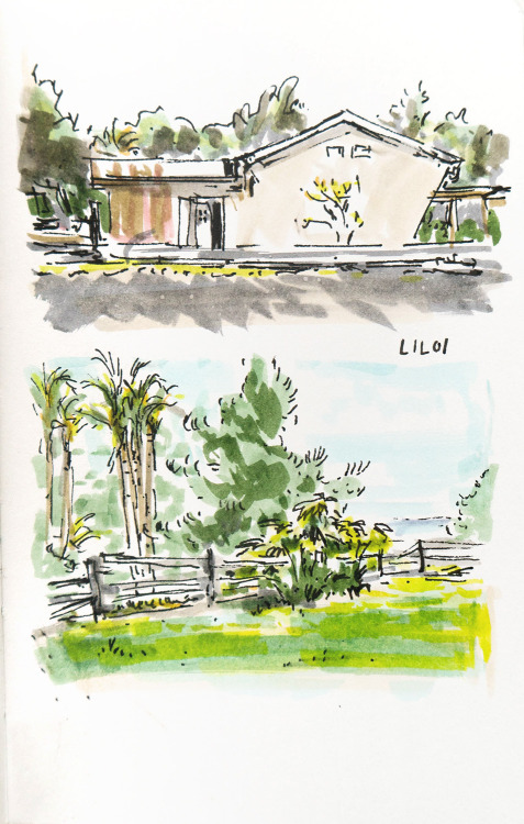 Back from the island of La Reunion (indian ocean), with a few sketches.