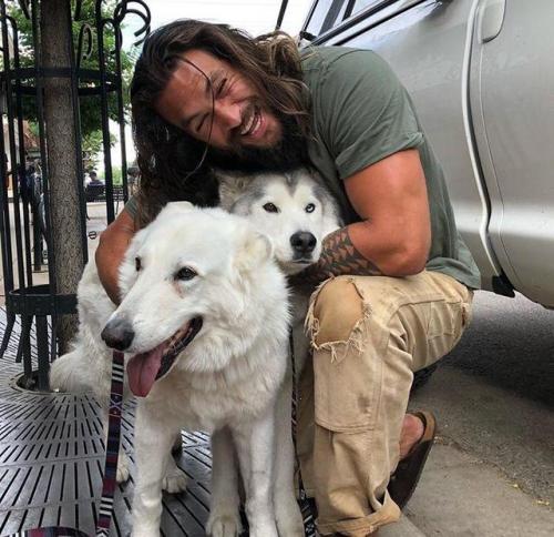 cute-pet-animals-aww:  I feel like everyone needs to see Jason Momoa hugging these doggos  Of course they do!