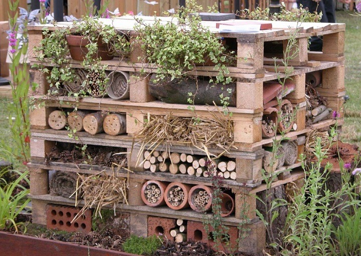 biodiverseed:  biodiverseed:  Insect Hotels Over 30% of solitary bee species are