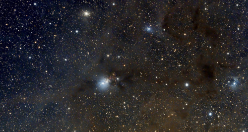 traverse-our-universe:  VDB158 region “This region at the borders of Andromeda, Cassiopeia and