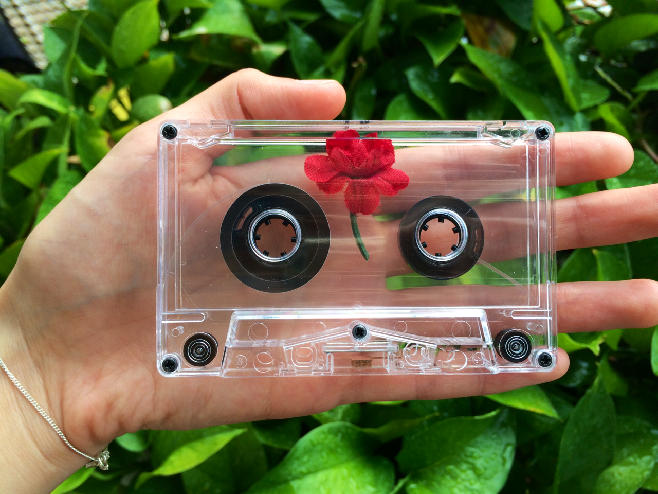 crydaisy:  cheapmiami:  The Red Nectar cassette features a flower inside of it. Released
