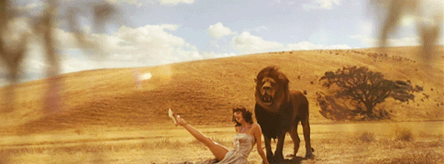 Wildest Dreams // Taylor + Animals