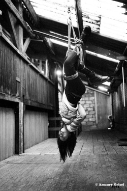 amaury-grisel-shibari:new playground with new model : youmiPhoto : Amaury Grisel