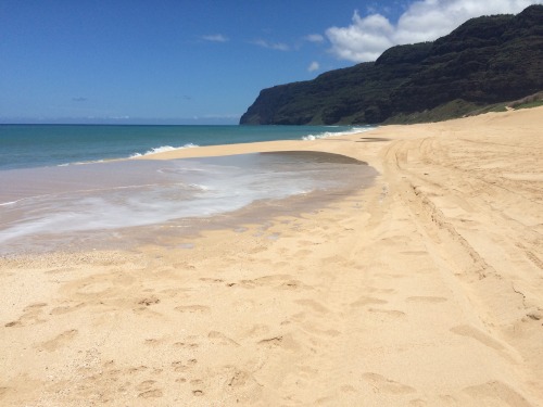 dailyveganshare:  You’re gorgeous, Kauai