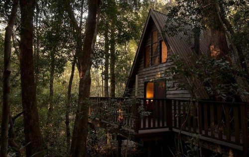 nurinthewoods: