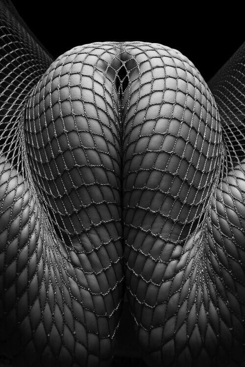 brokenhaloworld: ……snared…..
