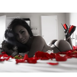 dollycastro:  ❤️🌹🌹🌹