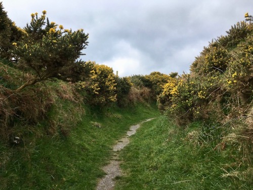 Dingle Peninsula, Ireland