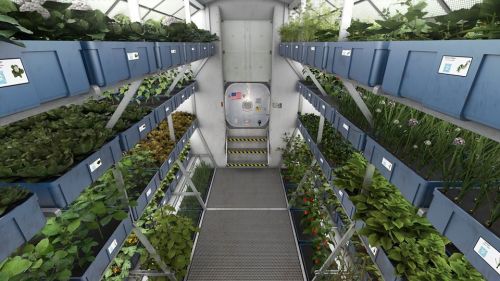 Would you like Mars with that?Growing vegetables on Mars might not be as far out as you’d thin