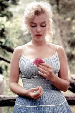 nevertherestillhere: Marilyn Monroe photographed by Sam Shaw, 1957