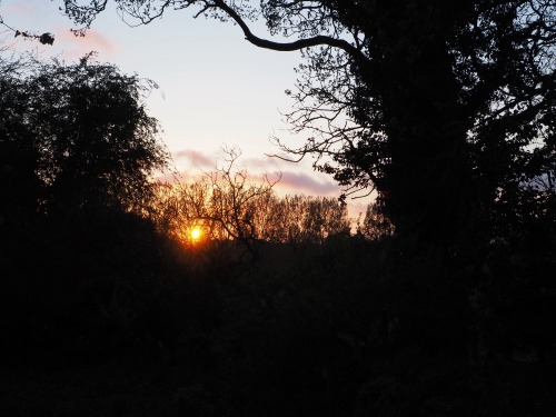 Late April sunsetThe Old Rectory, County School