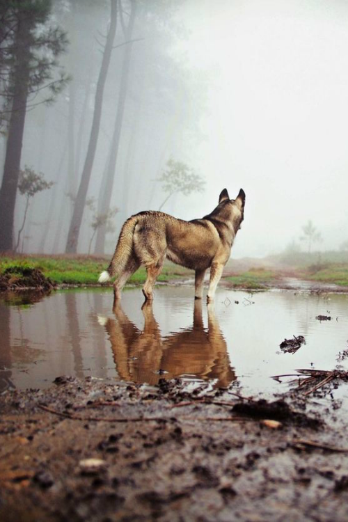 ilaurens:  The waiting........... - By: (Guillermo Carballa) 