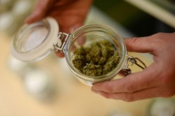 weedporndaily:  Aurora rec plan includes points system for shop licenses (Cannabist) The city of Aurora is considering implementing a points system in deciding who will get the coveted 24 recreational marijuana licenses when pot shops can finally open