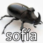eeterna