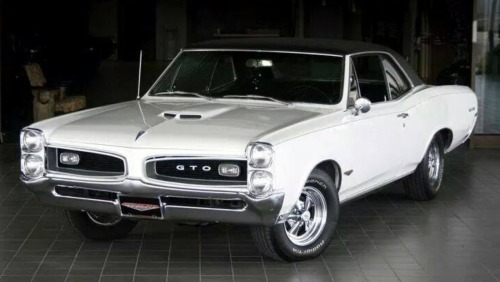 Gorgeous GTO