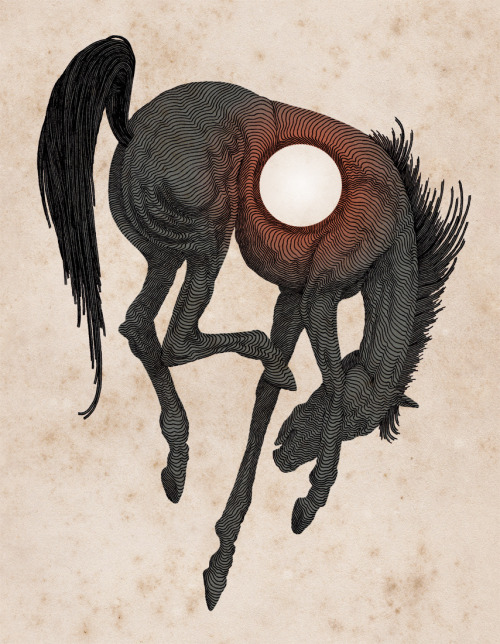JOHN STORTZ (b. 1988)Wild Abandon / KeepEm Coming / Absence / Spring Fauns / Major Minor / Corvus