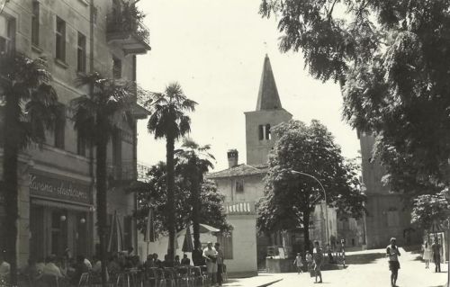 puzmak: Palms and chesnuts in the city center,Lovran, SFRJ, 1960ies