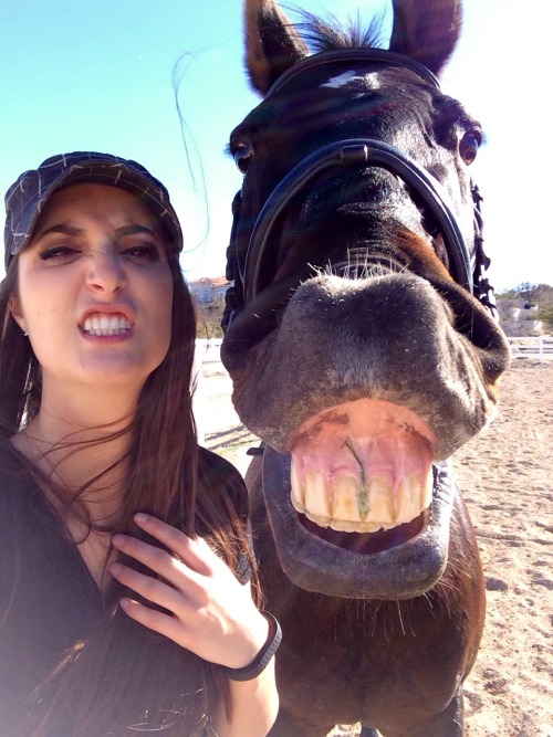 jenazambrello: Solid selfie of me and my horse.