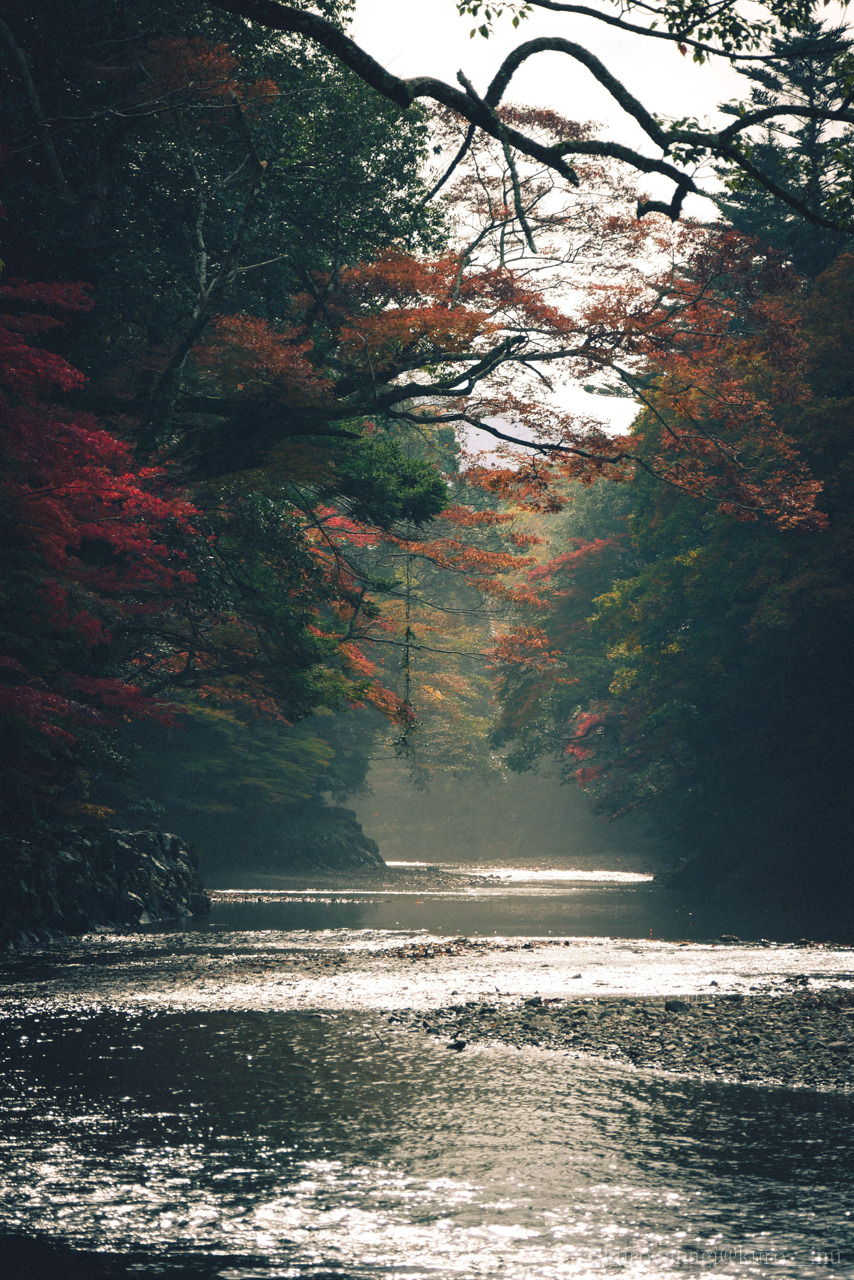 kuroinusphoto:  2016/11/20  伊勢神宮 内宮 五十鈴川  三重県