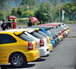 edctz:  Ek’s Asses!