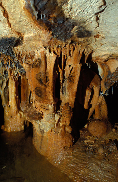 Cosquer caveThe Cosquer cave is located near Marseille, France and was rediscovered by accident in 1