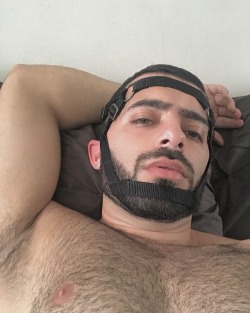 notanothergayguy:  Face Harness by @exterface