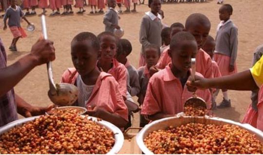 Health Want Govt to Invest in School Feeding Programs