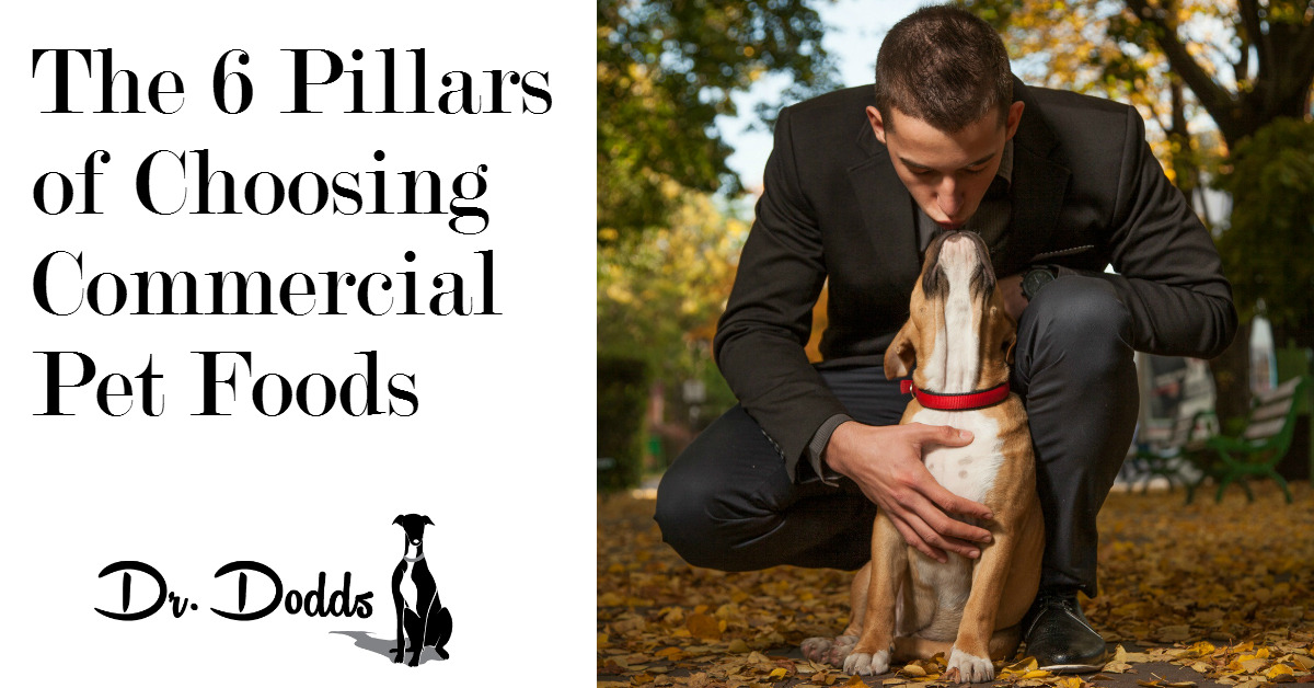 Dr. Jean Dodds' Pet Health Resource Blog The 6 Pillars of Choosing