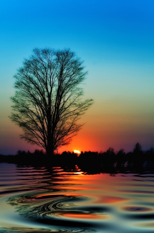 obscvred:  Source | Photographer