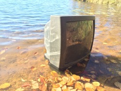 browningtons:  snakegay:   i stumbled across this in a remote part of the lake and i really loved the surreality of it   rate my melee set up 