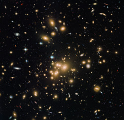 just–space: Hubble view of galaxy cluster