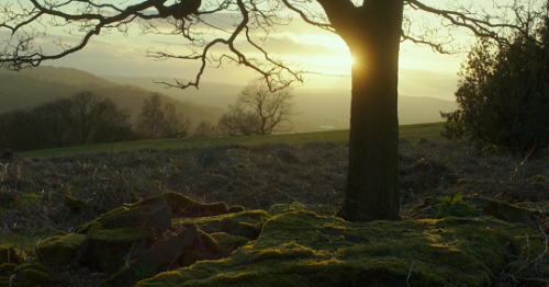 thelittlefreakazoidthatcould: It’s beautiful here, but lonely, no? God’s Own Country (20