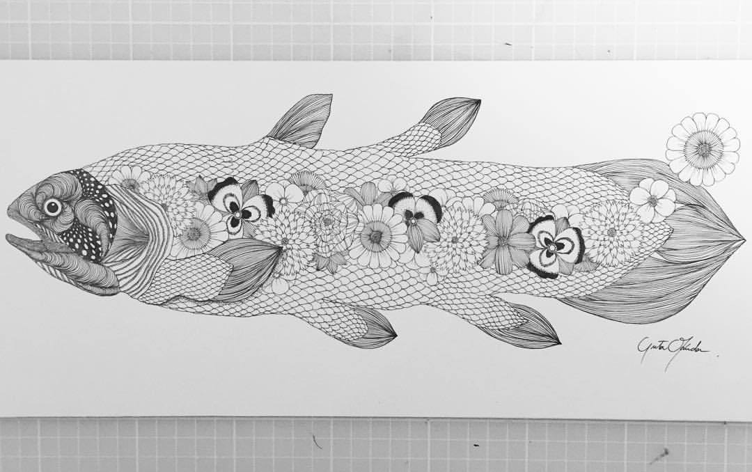 Yutaokuda シーラカンス 魚 イラスト Coelacanth Fish Illustration