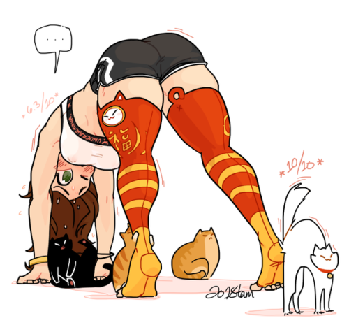 sabrithebonclaw:  nicoleships:  mooooore cAAAAATSSSSSSSSSS CATS  Love it!