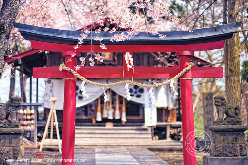 Tenmangoo Shrine Torii Gate