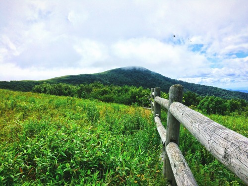 blazingyeti:Quick Day Hike. Roan Highlands, Hump Mnt.