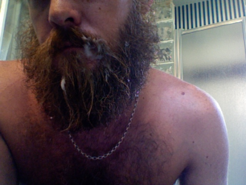 Beardburnme