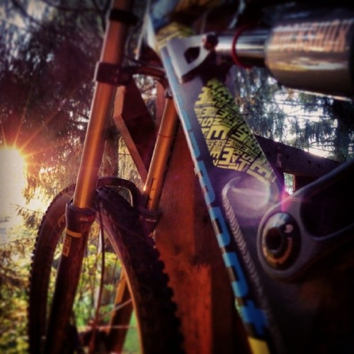 bikes-bridges-beer:  Downhill and sun - two wonderful things! ♥ #downhill#dh#freeride#mountainbike#m