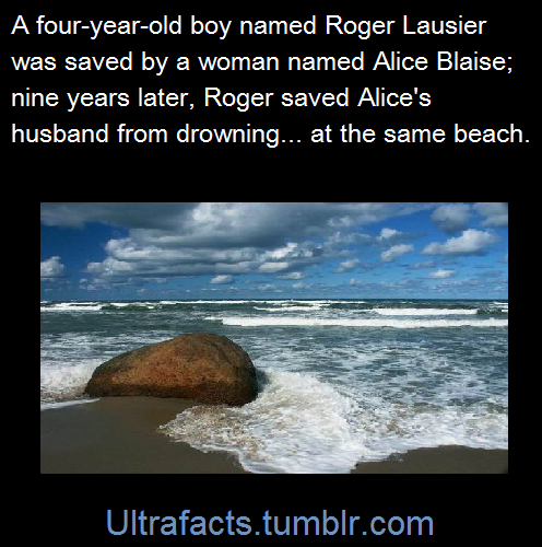 ultrafacts:  Source Follow Ultrafacts for more facts 