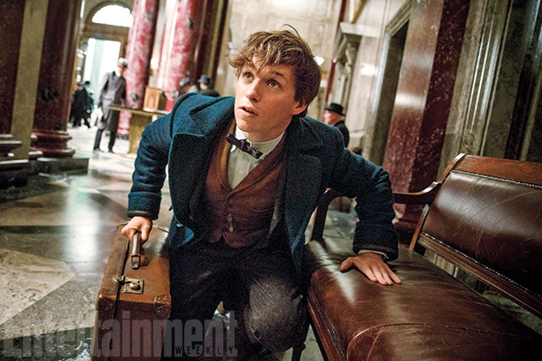 olly-77:  New Photos from Fantastic Beasts and Where to Find Them!! Gallery on Entertainment