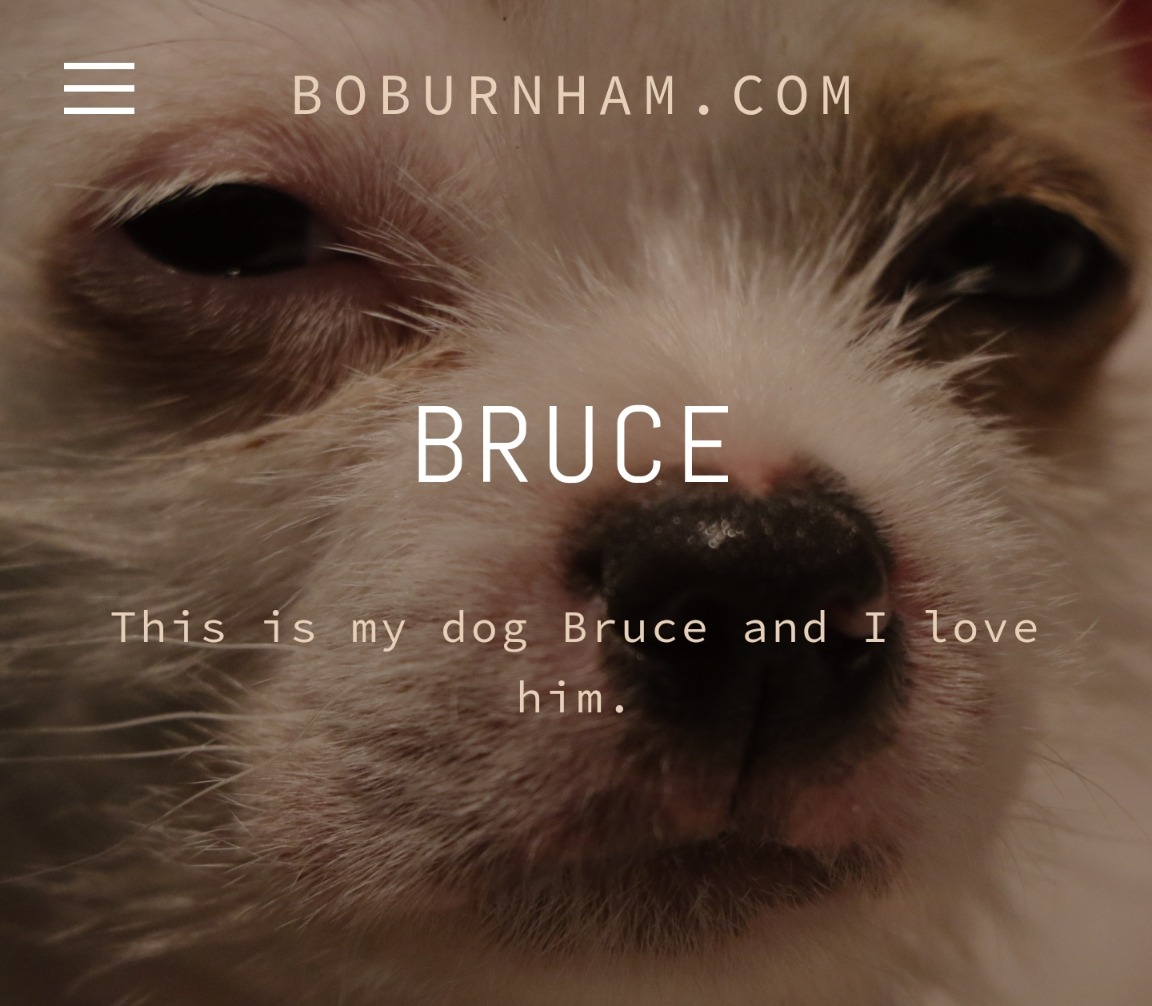 i-flood-my-basement:On the first page of Bo Burnham’s website it asks if you are