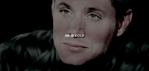 flydestiel: insp.
