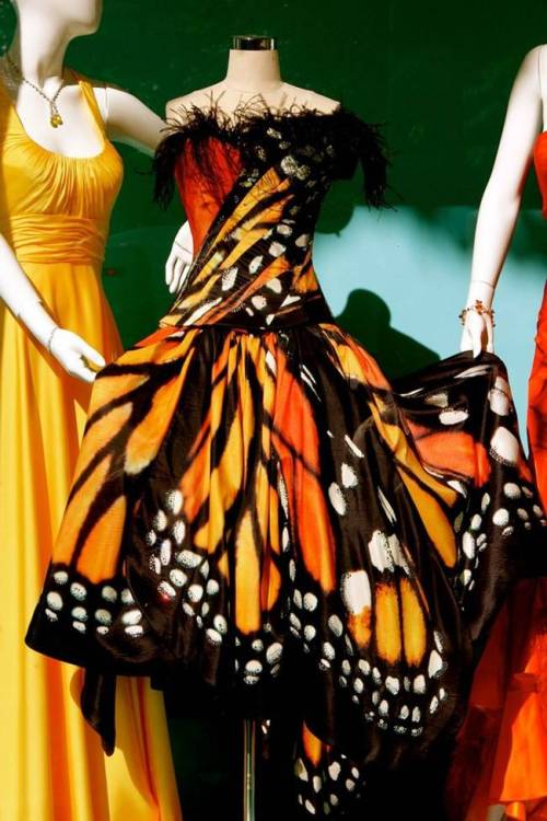 sensualspectrum: Monarch Dress by Luly Yang if I saw somebody wearing this I think I would just stop