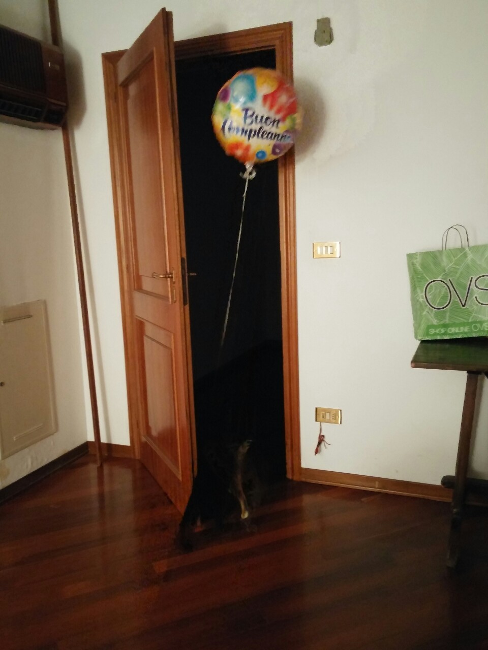 The birthday balloon thief strikes again&hellip;  But now I caught her in the