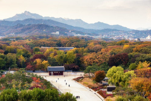 Autumn colors of Jongmyo Shrine, seen from the roof of the renovated Seun Sangga Arcade.