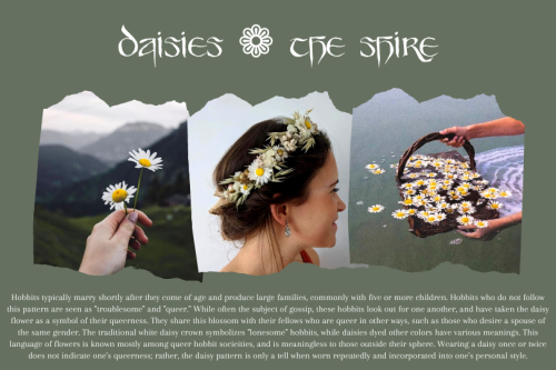 arofili: @aspecardaweek day four | worldbuilding | a-spectrum symbols in arda DAISIES ❁ THE SHIRE [3