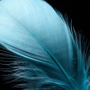 glowing-blue-feathermage avatar