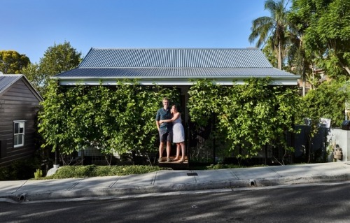 kazu721010 - Terrarium House / John Ellway ArchitectPhotos ©...